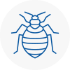 Bed Bug Extermination In Emsworth