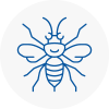 Emsworth Hornet Nest Removals
