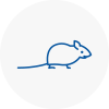 Mice Exterminators In Emsworth