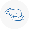 Rat Control Emsworth