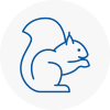 Emsworth Rodent Removals